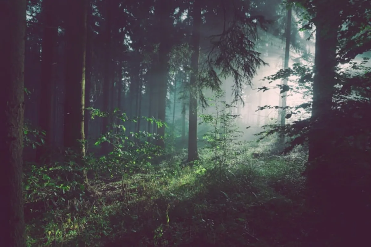 Natur – ein Ort für Kinder und Trauer