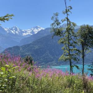 Oase der ewigkeit